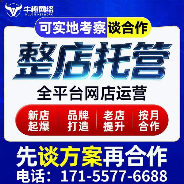 临沂电商代运营