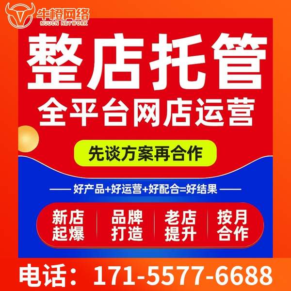 临沂电商代运营
