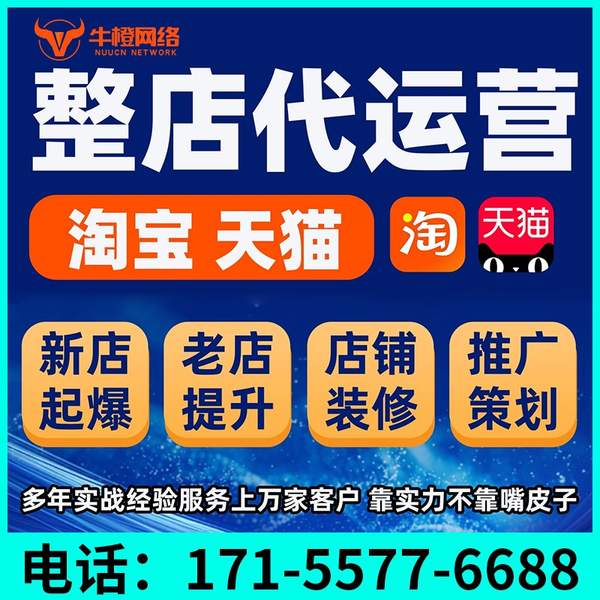 临沂电商代运营