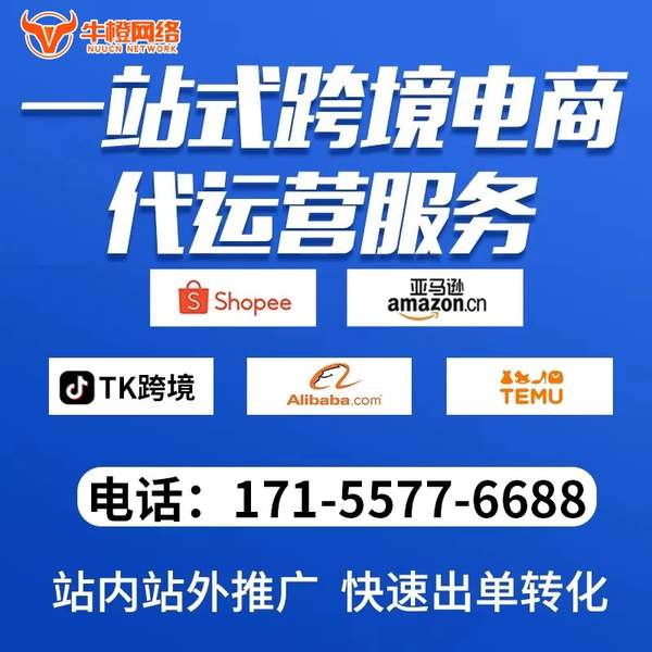 临沂电商代运营