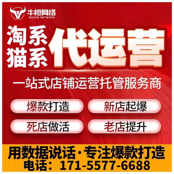 临沂电商代运营
